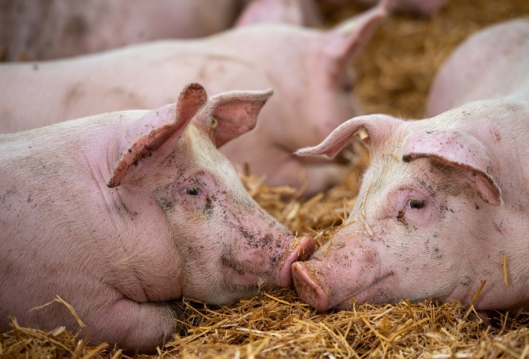 AdobeStock_357220612