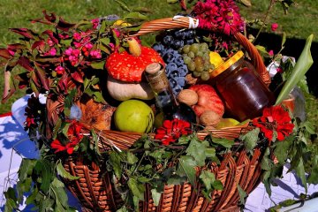 Производство сельхозпродукции в странах ЕАЭС за девять месяцев выросло на 5,4%