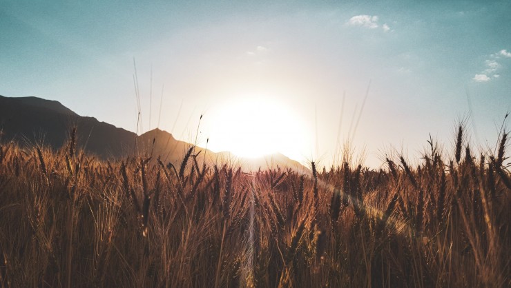 amir-kalhor-FAgzuQMTU1Y-unsplash