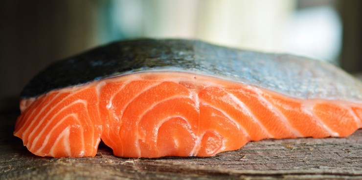 salmon-3139390_1920