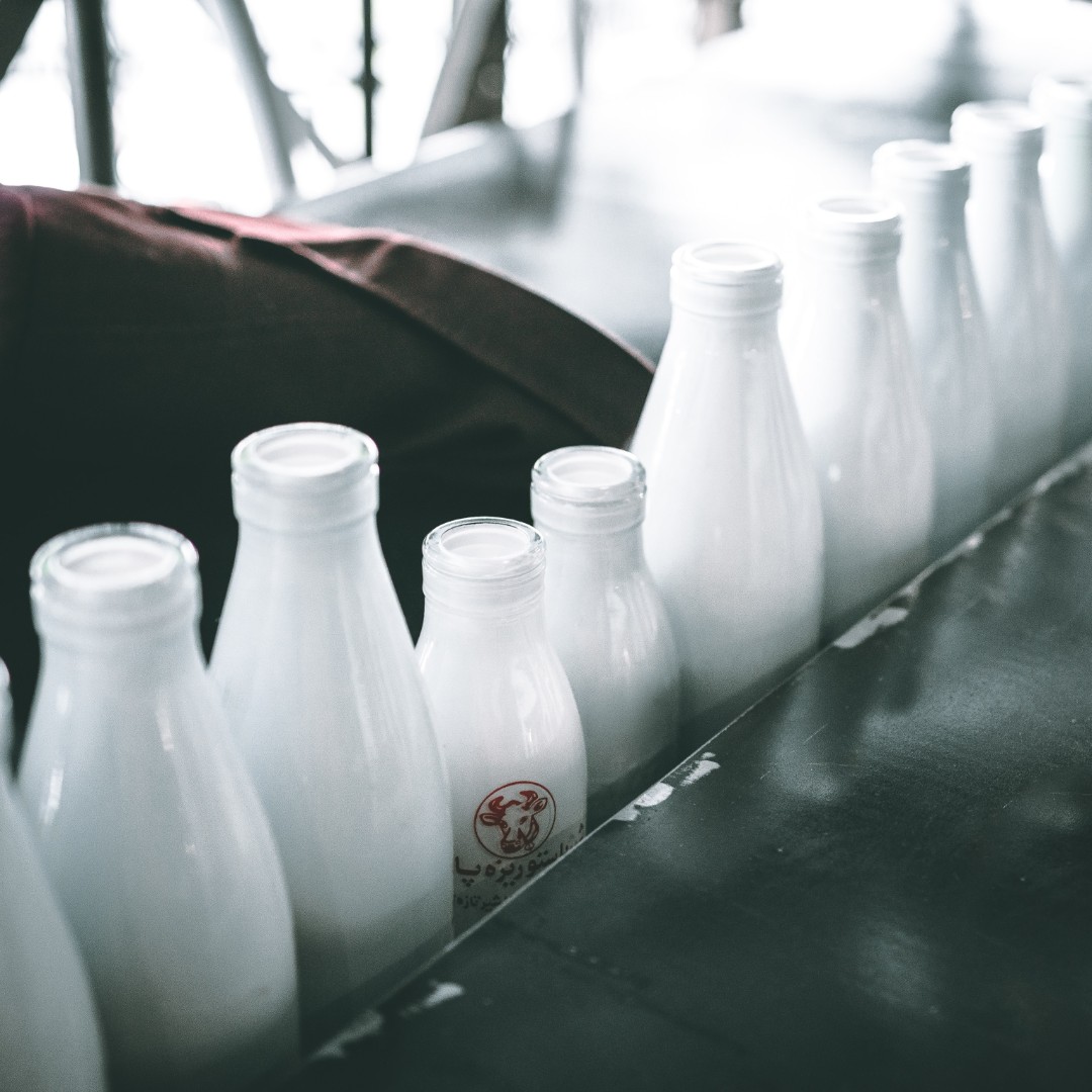 Объем импорта сухой молочной сыворотки на 2023 год уменьшили в два раза