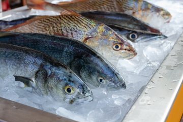 Цены на мороженую рыбу и морепродукты продолжают снижаться