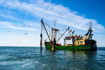 Минсельхоз может полностью отказаться от топливной субсидии для рыбопромышленных предприятий