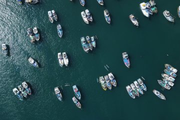 Рыбалку на Камчатке разделят на коммерческую и социальную