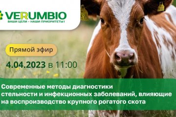 Как правильно организовать программу воспроизводства на ферме