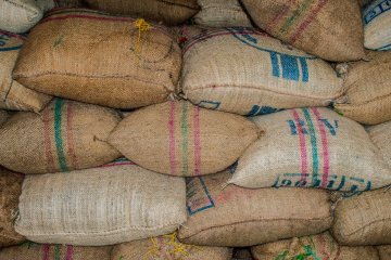 «Дамате» начнет экспорт кормов в страны Таможенного союза