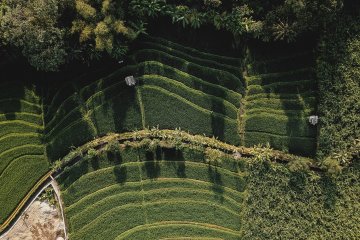 Агрохолдинг «Степь» вложил 10 млн рублей в высадку 100 га леса