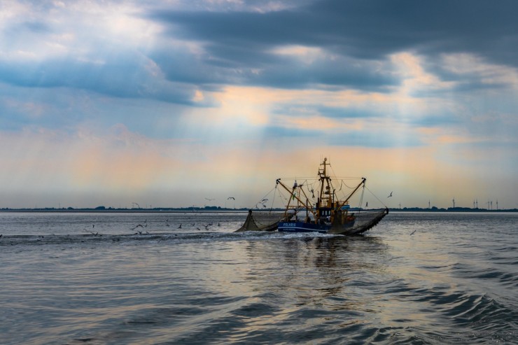 birgit-sindermann-K29hTo1whdw-unsplash