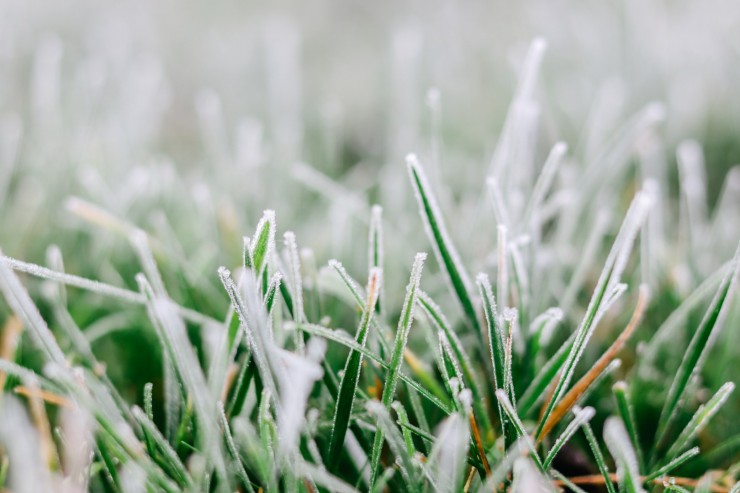 sandie-clarke-5pjUlvv0Zwg-unsplash