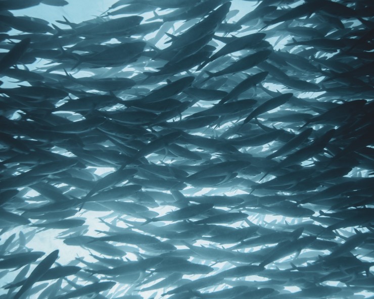 mikhail-preobrazhenskiy-9kSZdpIf_Fo-unsplash