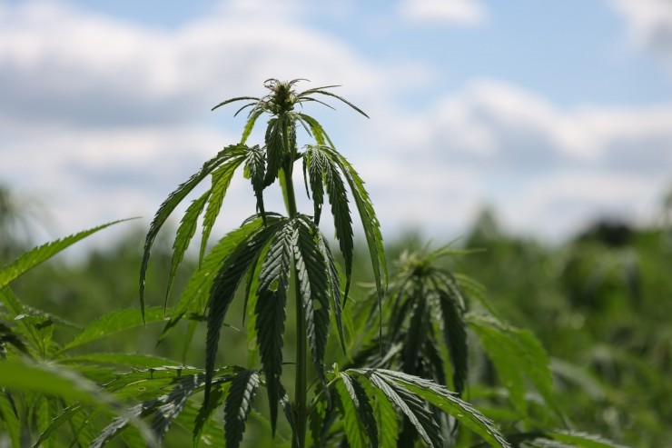 Безымянваный