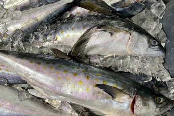 Экспорт готовой рыбной продукции в Марокко затрудняет высокая пошлина