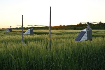 Интернет вещей поможет в производстве качественной сельхозпродукции