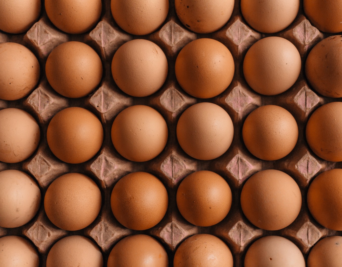 Экспорт пищевого яйца вырос в 1,5 раза с начала года