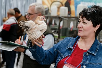 Кролики – это не только ценный мех!