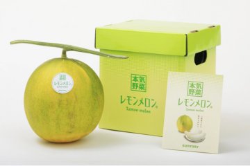 В Японии создали новый фрукт — лимонную дыню