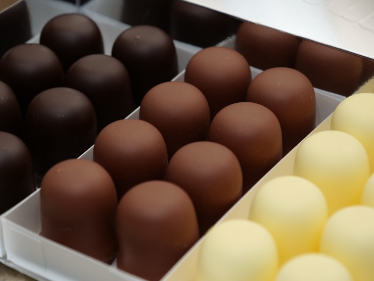 splash-pic-LtxHCnP_530-unsplash