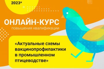 Как быстро выявить заболевание и вылечить птицу