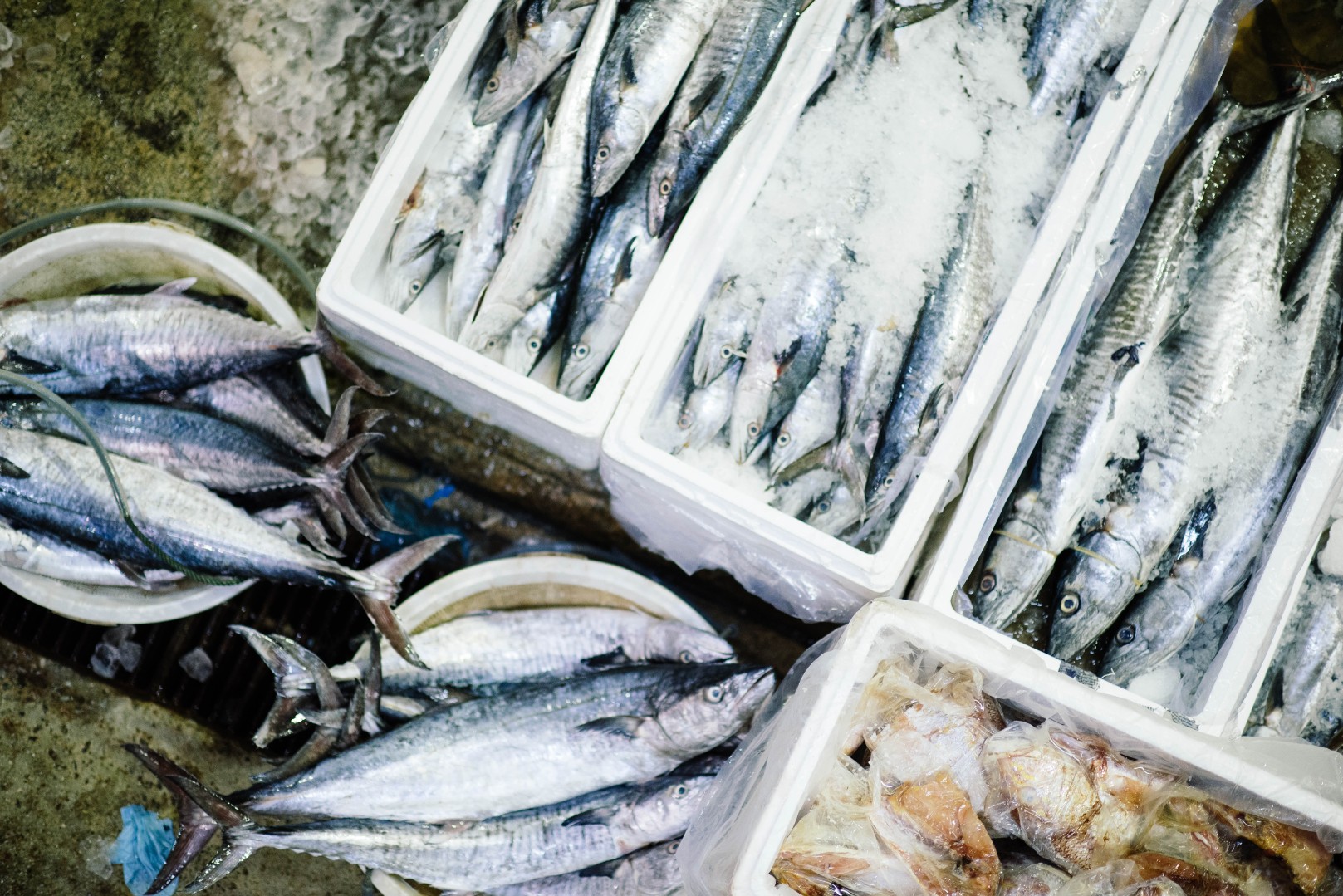 Эксперты рассказали о пользе соли в борьбе с паразитами рыб