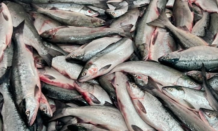 57ab4a1f_185c_4afd_af32_53375e1f0271