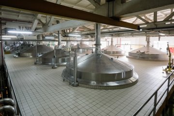 Российские заводы «Хейнекен» проведут ребрендинг впервые за 20 лет