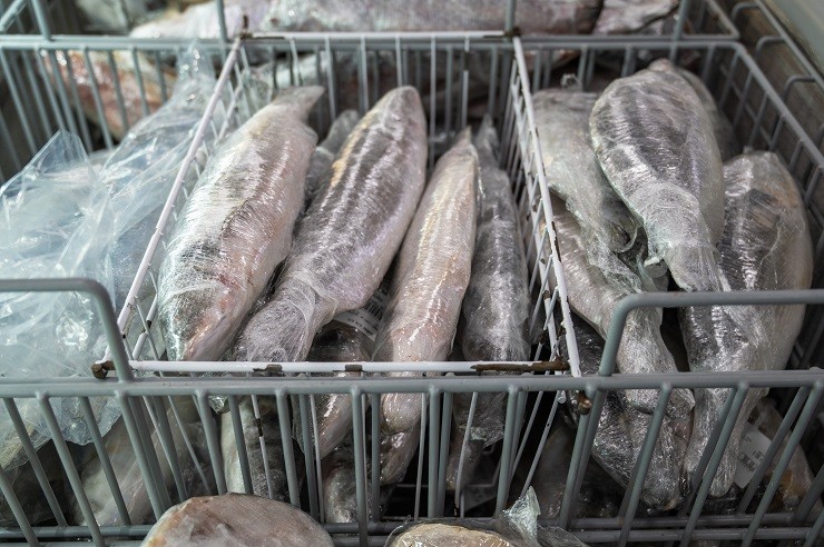 frozen-seafood-and-fish-in-fridge-at-the-fish-market-healthy-eating-and-fish-market-concept