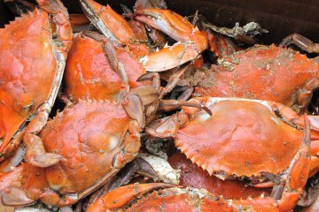 США ужесточили запрет на импорт российской рыбной продукции