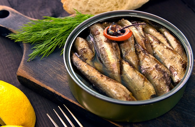 canned-sprats-7932579_1280