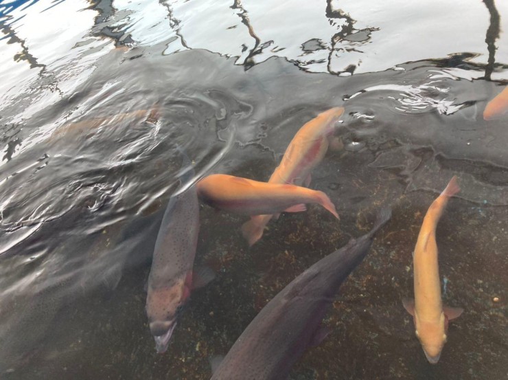 WhatsApp Image 2024-02-01 at 07.44.17