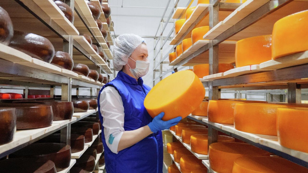 Подмосковье на четверть нарастило производство сыра в конце 2023 года