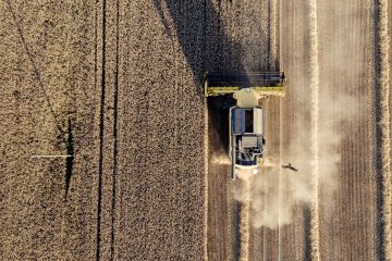 Ориентир темпов роста сельхозпроизводства РФ могут сократить в два раза