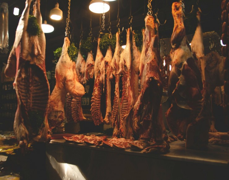 laura-fernandez-fpP2TClWkhw-unsplash