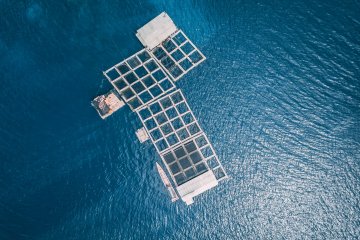 Российские компании готовятся к выставке в Стамбуле