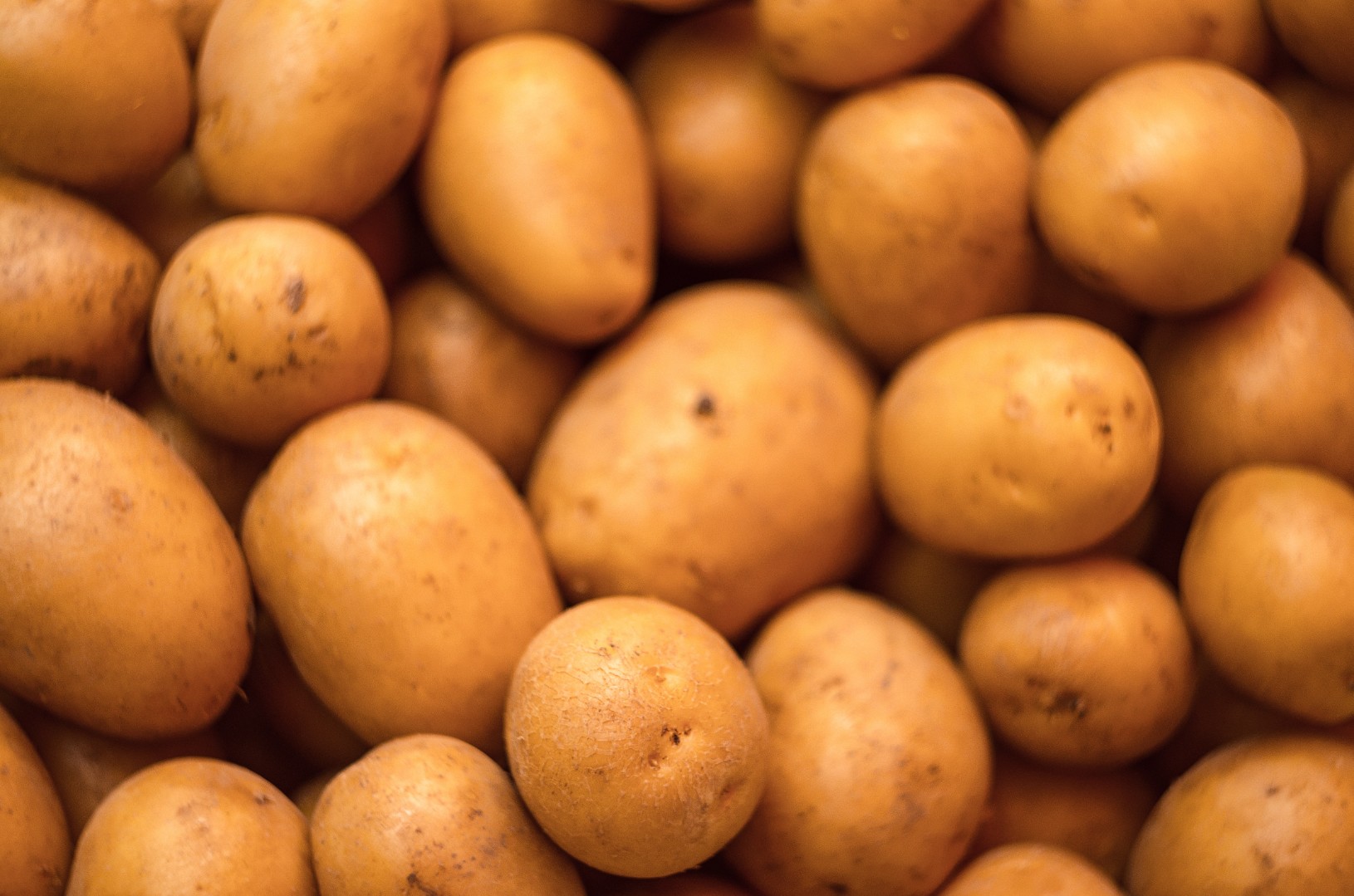 В Челябинской области создают картофельный агроагрегатор для фермеров