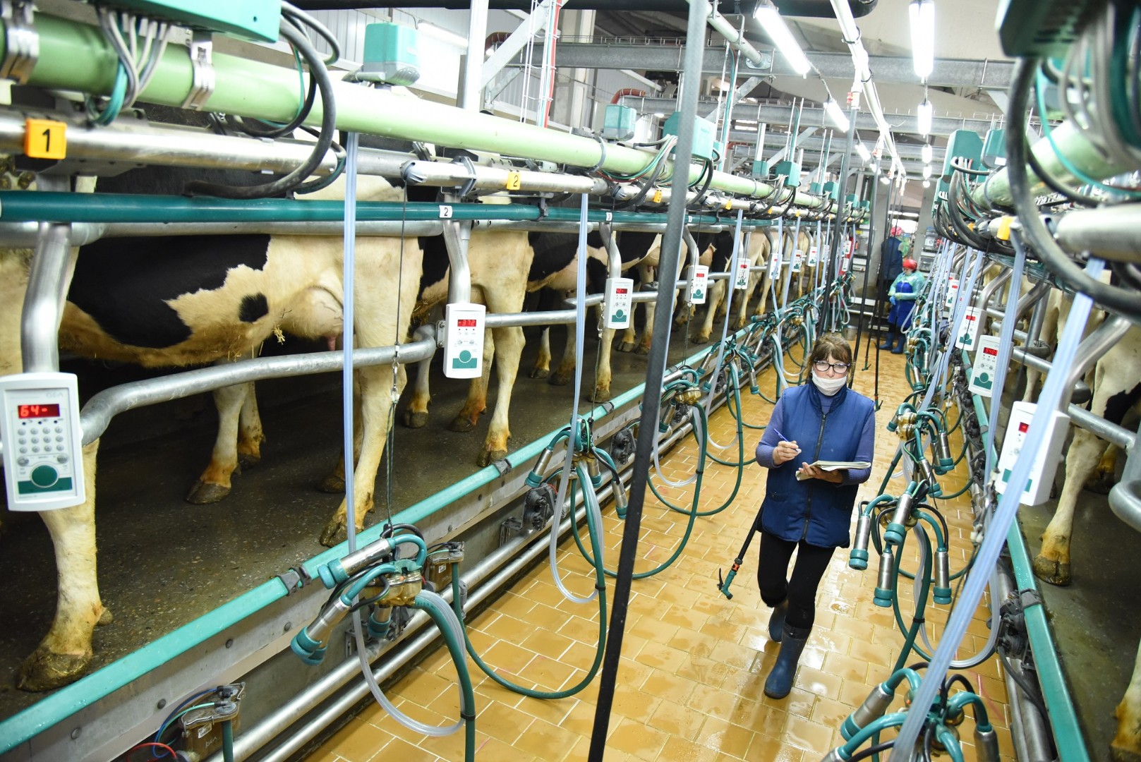 Молочно-товарная ферма АГРОЭКО по итогам 2023 года демонстрирует рост