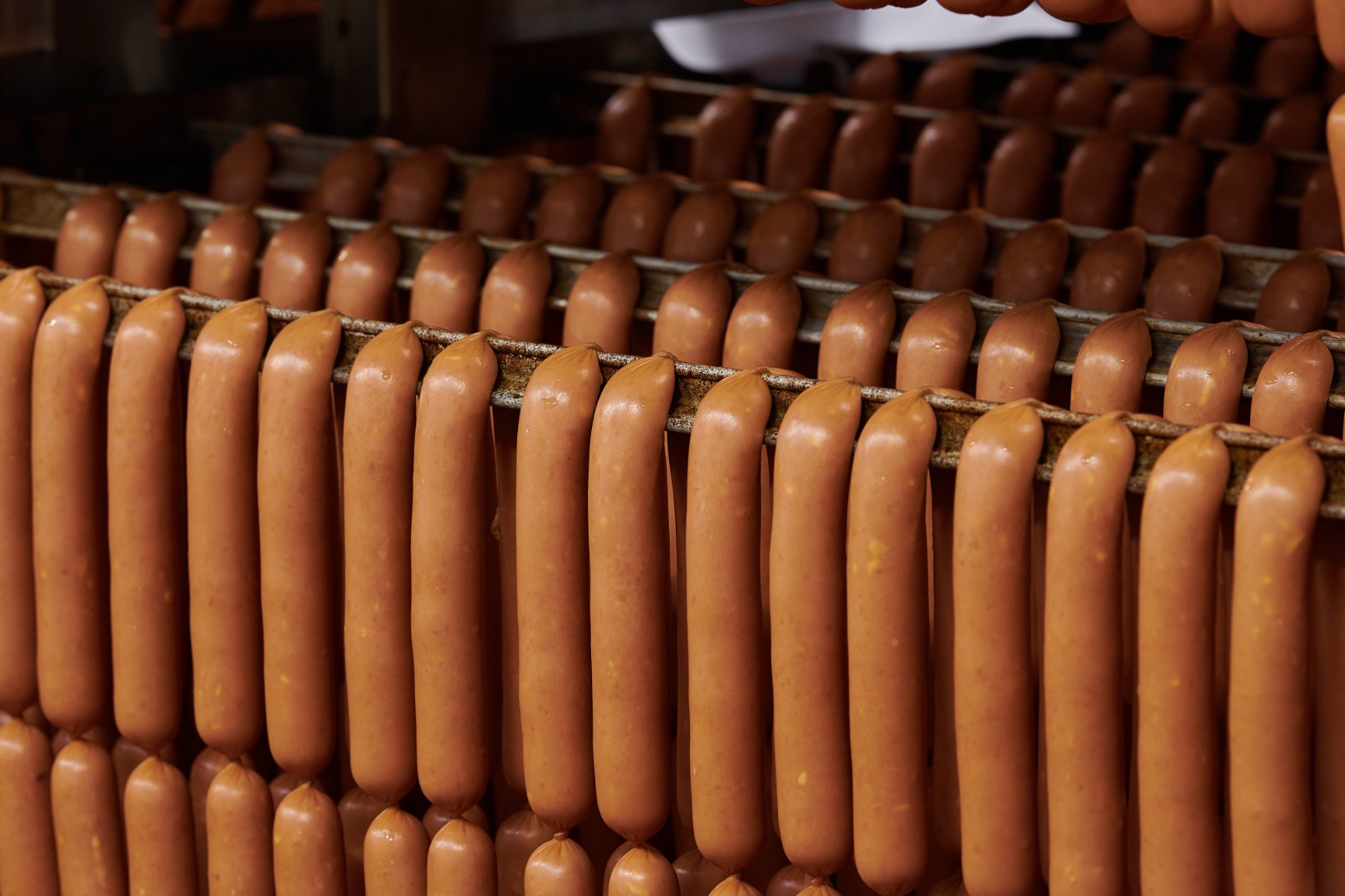 Более 278 тысяч тонн копченых и вареных колбас производят столичные заводы ежегодно