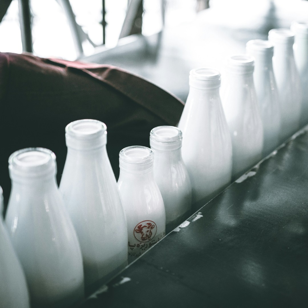 У аграриев остался месяц до введения обязательной маркировки молочной продукции