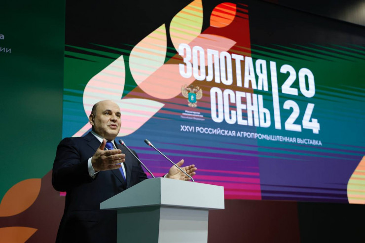 photo_5208829482553697514_y