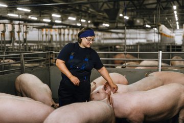 «Омский бекон» значительно улучшил показатели эффективности производства по итогам 2024 года