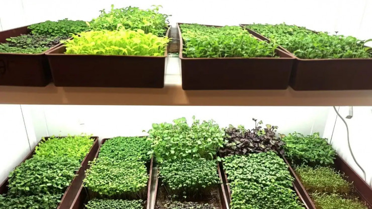 photo_2025-01-16_23-47-50