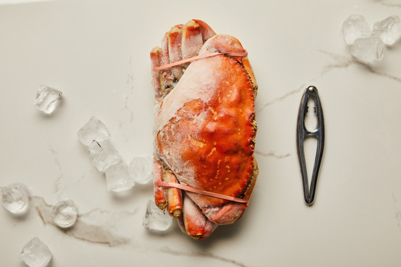 top-view-frozen-uncooked-crab-near-seafood-cracker-scattered-ice-cubes-marble-surface