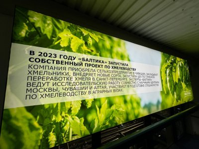 Спрос на экскурсии по заводам «Балтики» вырос на 40% в 2024 году