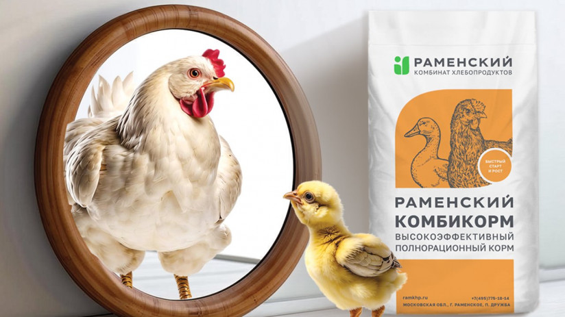 mirror_broyler_1280x960px_pack