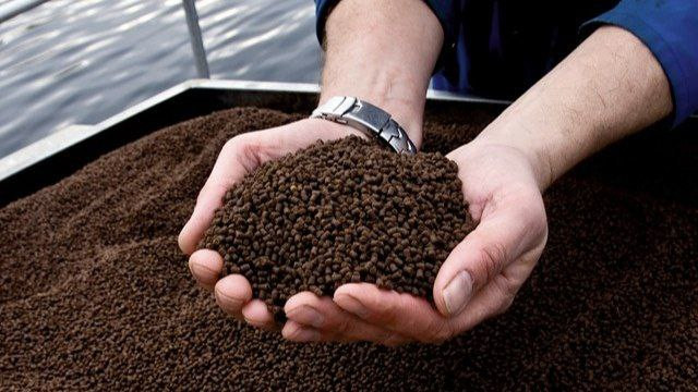 корм Биомар