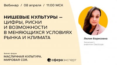 Прогнозы и риски нишевых культур: готовьте бизнес к будущим изменениям!