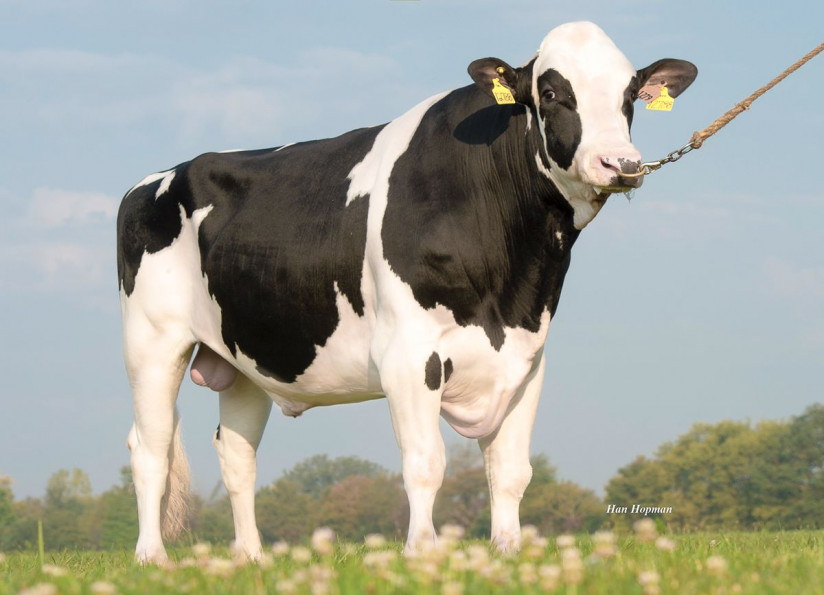 WhatsApp Image 2025-04-10 at 14.13.44