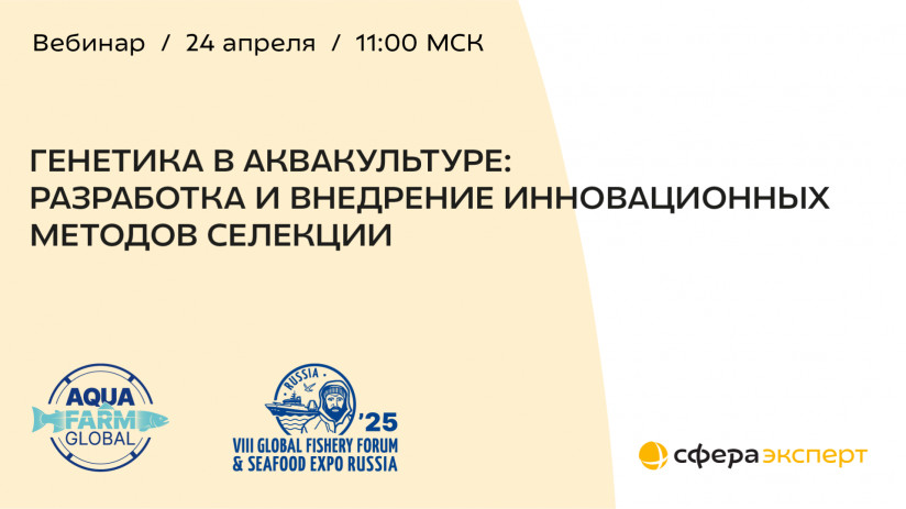 1920х1080 копия 2