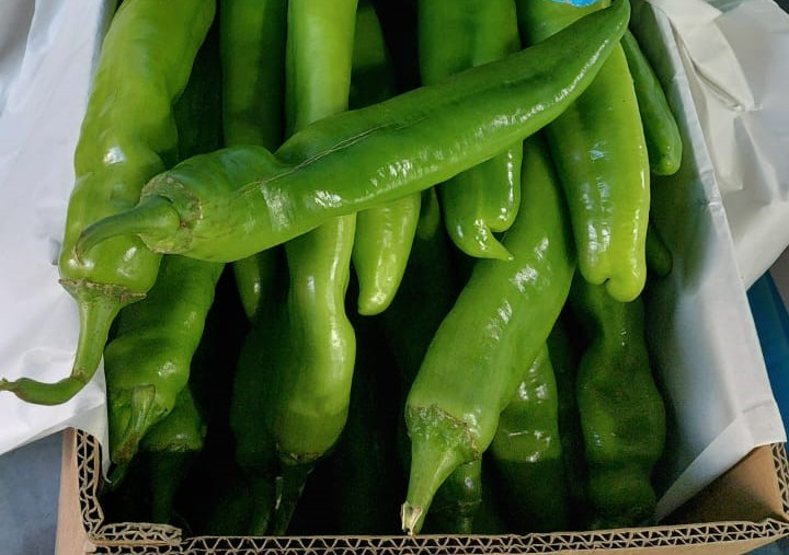 изображение_2025-04-21_171513885