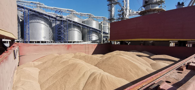 IMG_20250422_123442_169 (1)