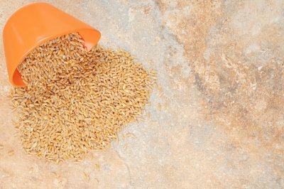 Россия вновь разрешила ввоз ряда сельхозпродукции из Казахстана с 22 апреля 2025 года